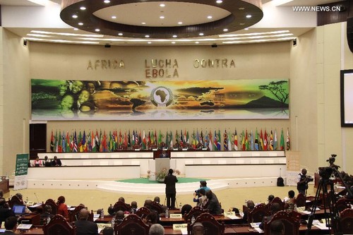African Union exchanges experience in Ebola prevention - ảnh 1